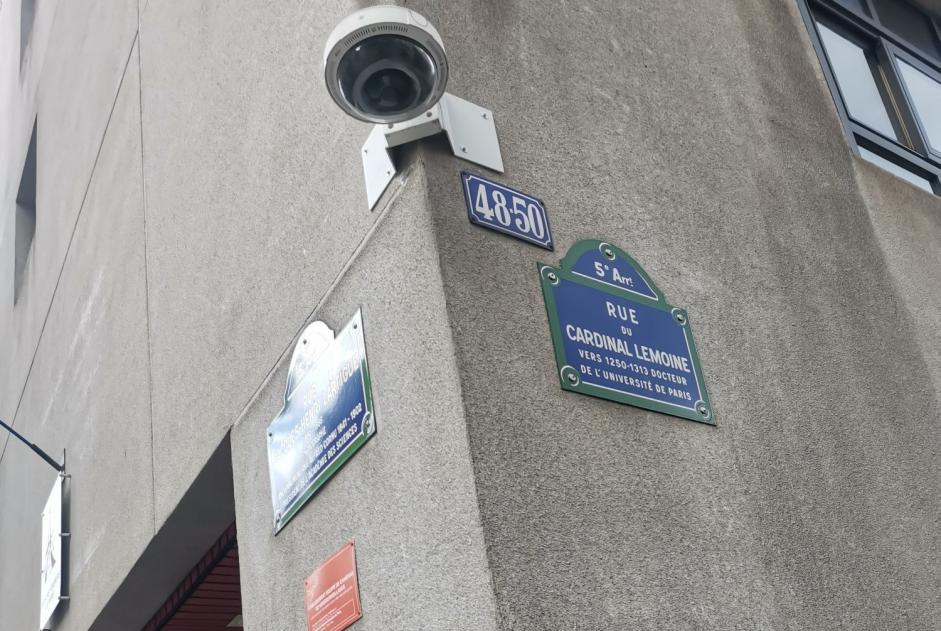 Ontdekkingsalarm Hond Onbekend Paris Frankrijk